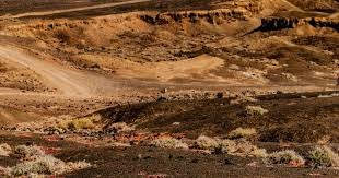 大规模断网事件再现！《艾尔登法环：黑夜君临》等多家游戏与网络服务中断